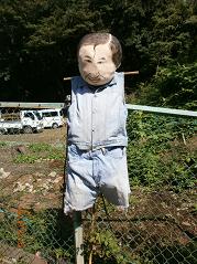 2012-10-05.jpg