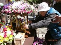 2013-4-8 002.jpg