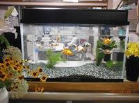 2013-6-28 003.jpg