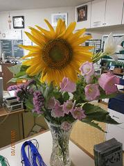2013-7-1 019.jpg