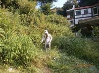 2013-8-16 003.jpg