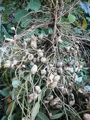 2013-10-11 008.jpg