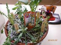 2014-1-7 003.jpg