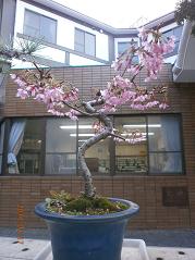 2014-3-17 007.jpg
