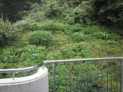 P6110005.JPG